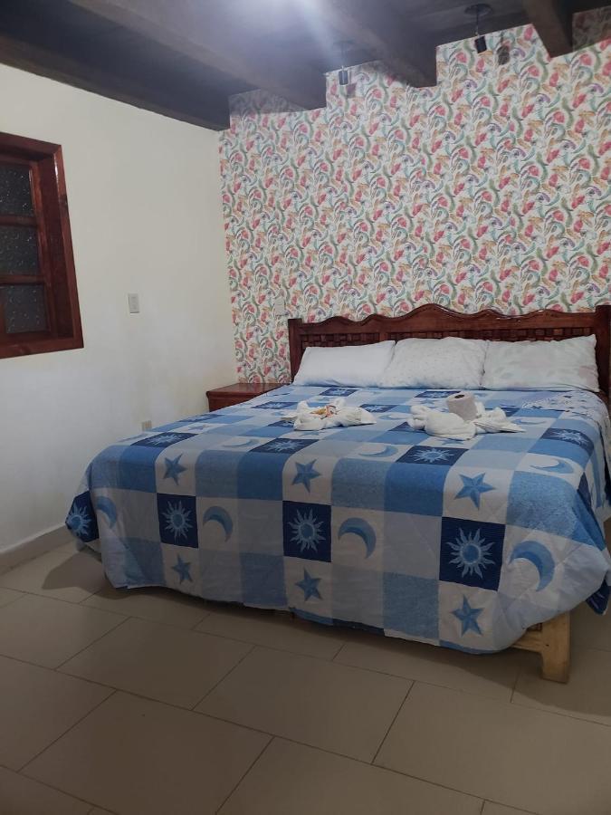 Hotel Arcos Del Carmen San Cristóbal de Las Casas Zewnętrze zdjęcie
